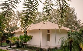 Clarks Safari Ranthambore